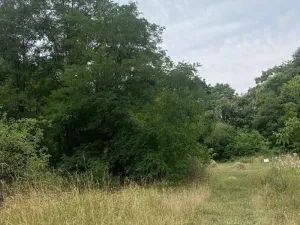 Dražba pozemku, Praha - Michle, 8863 m2