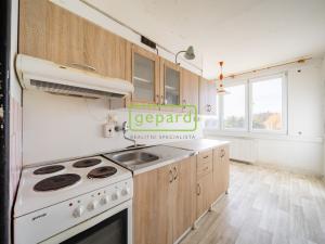 Prodej bytu 2+1, Zliv, Nová, 57 m2