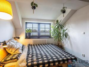 Prodej bytu 3+kk, Jablonec nad Nisou - Mšeno nad Nisou, 1. máje, 63 m2