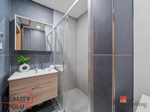 Prodej bytu 2+1, Pardubice - Zelené Předměstí, Devotyho, 55 m2