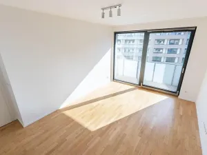 Prodej bytu 3+kk, Praha - Žižkov, Seifertova, 70 m2