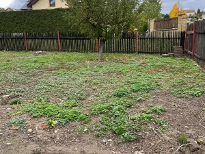 Prodej pozemku pro bydlení, Kladruby, 931 m2