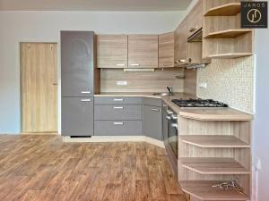 Prodej bytu 1+1, Děčín - Děčín XXXII-Boletice nad Labem, Pražská, 43 m2