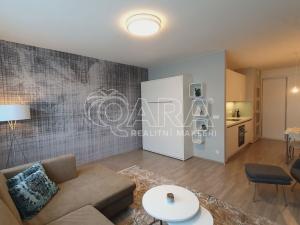 Pronájem bytu 1+kk, Praha - Stodůlky, Petržílkova, 42 m2