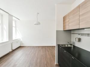 Pronájem bytu 1+kk, Praha - Vinohrady, Lucemburská, 30 m2