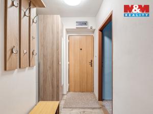 Prodej bytu 2+1, Litvínov - Horní Litvínov, U Zámeckého parku, 58 m2