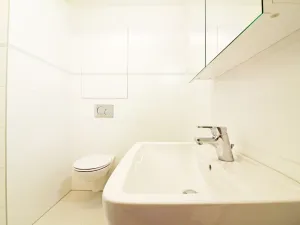 Pronájem bytu 2+kk, Brno - Sadová, Firkušného, 46 m2