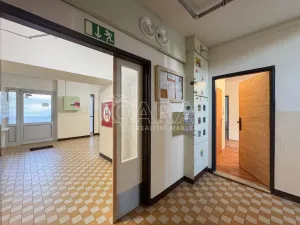 Pronájem pokoje, České Budějovice - České Budějovice 2, J. Opletala, 65 m2