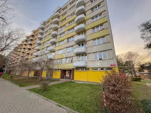Pronájem pokoje, České Budějovice - České Budějovice 2, J. Opletala, 65 m2