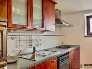 Pronájem atypického bytu, Brno - Veveří, Gorkého, 61 m2