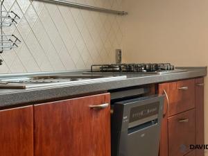 Pronájem atypického bytu, Brno - Veveří, Gorkého, 61 m2