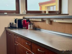 Pronájem atypického bytu, Brno - Veveří, Gorkého, 61 m2