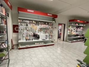 Pronájem obchodního prostoru, Jirny, Tovární, 197 m2