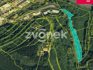 Prodej lesa, Vsetín - Rokytnice, 4429 m2