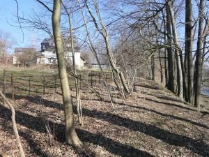 Prodej lesa, Raspenava, 656 m2