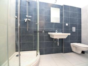 Pronájem bytu 1+kk, Praha - Kamýk, U Kamýku, 31 m2