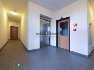 Pronájem bytu 1+kk, Praha - Kamýk, U Kamýku, 31 m2