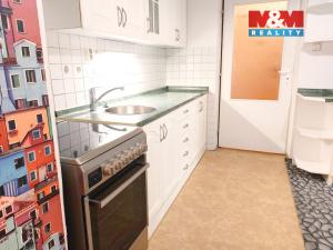 Pronájem bytu 1+1, Mělník, Pražská, 43 m2