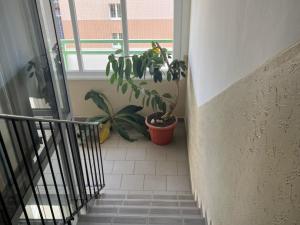 Pronájem bytu 4+1, Louny, 17. listopadu, 78 m2