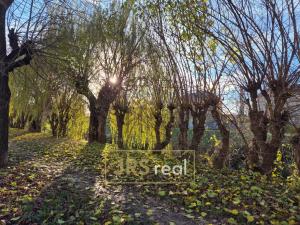 Pronájem bytu 2+1, Brno - Zábrdovice, 67 m2