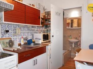 Prodej rodinného domu, Dolní Beřkovice, Nerudova, 200 m2