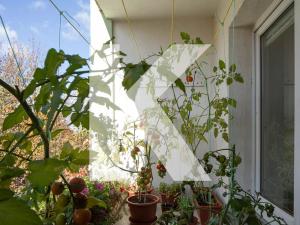 Prodej bytu 2+1, Praha - Veleslavín, Maříkova, 55 m2