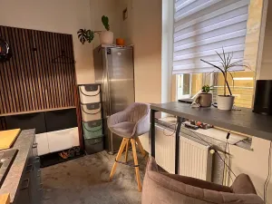 Prodej bytu 1+1, Karlovy Vary, Foersterova, 32 m2