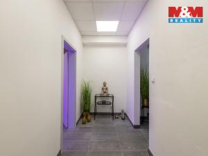 Pronájem obchodního prostoru, Louny, Březinova, 210 m2