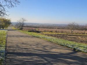 Prodej zahrady, Velké Bílovice, 3450 m2