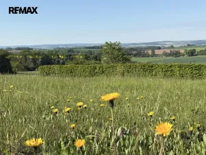 Prodej pozemku pro bydlení, Vračovice-Orlov, 3521 m2