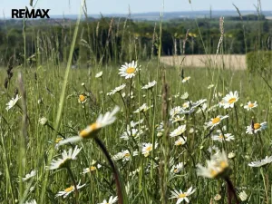 Prodej pozemku pro bydlení, Vračovice-Orlov, 3521 m2
