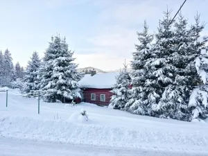 Prodej chalupy, Rokytnice nad Jizerou - Dolní Rokytnice, 108 m2