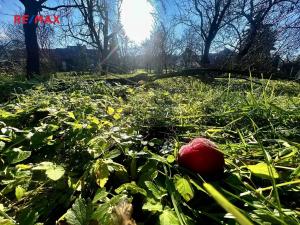 Prodej pozemku pro bydlení, Podolí, 1608 m2