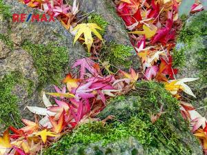 Prodej rodinného domu, Šimonovice, Vinohradní, 208 m2