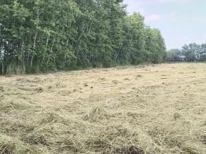 Prodej zahrady, Doubravčice, 7161 m2