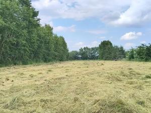 Prodej zahrady, Doubravčice, 7161 m2