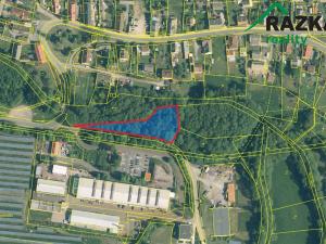 Prodej rybníku, Tachov, 5323 m2