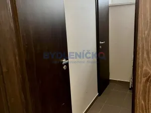 Pronájem bytu 1+kk, České Budějovice, 35 m2