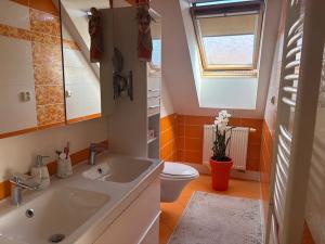 Prodej rodinného domu, Letkov, Olšová, 304 m2