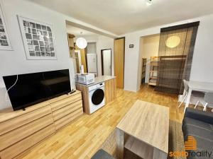 Pronájem bytu 1+kk, Ústí nad Labem, Střekovské nábřeží, 29 m2