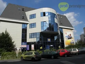 Pronájem obchodního prostoru, Havířov, U Stromovky, 400 m2