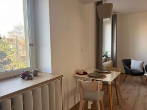 Pronájem bytu 2+kk, Ostrava, Sokolská třída, 61 m2