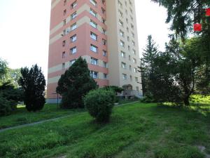 Pronájem bytu 1+1, Liberec - Liberec XII-Staré Pavlovice, Letná, 40 m2