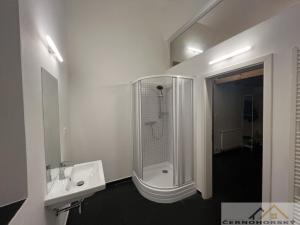 Pronájem bytu 1+kk, Rakovník - Rakovník II, 57 m2