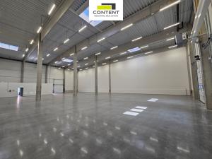 Pronájem výrobních prostor, Řepov, 1690 m2