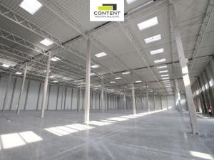 Pronájem výrobních prostor, Kožichovice, Žďárského, 5000 m2