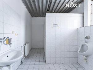 Pronájem výrobních prostor, Zábřeh, 2601 m2