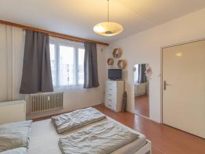 Pronájem bytu 1+1, Sušice - Sušice II, Volšovská, 36 m2