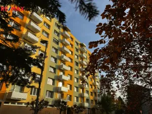 Pronájem bytu 2+1, Písek - Budějovické Předměstí, Budovatelská, 64 m2