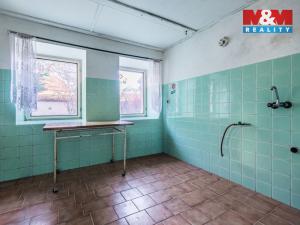 Prodej zemědělské usedlosti, Račetice, 780 m2